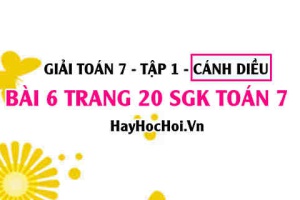 Giải bài 6 trang 20 Toán 7 Tập 1 SGK Cánh Diều
